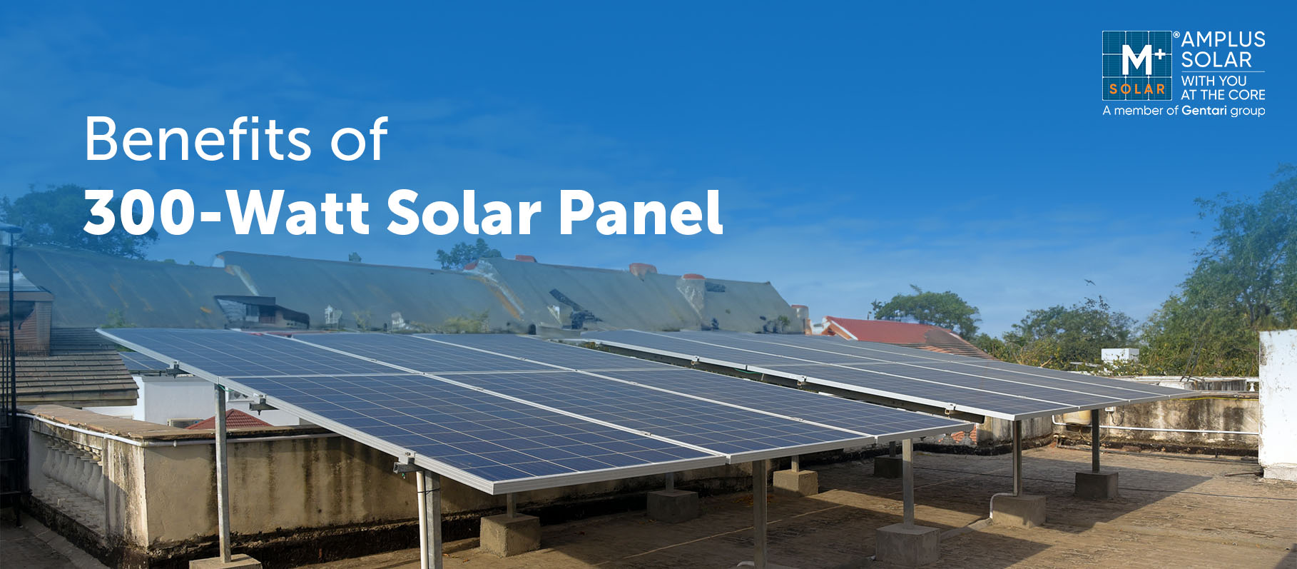 300 Watt Solar Panel Price in India