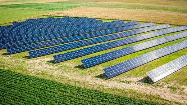 Top 5 Solar Farms in India 2021