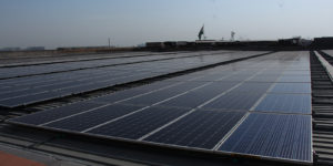 India Expo Centre and Mart solar power plant 4