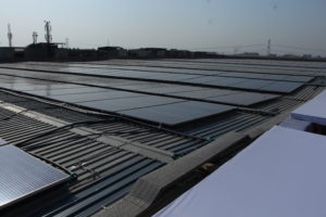 India Expo Centre and Mart - solar power plant 4