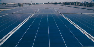 Kansai Nerolac Paints Ltd rooftop solar plant