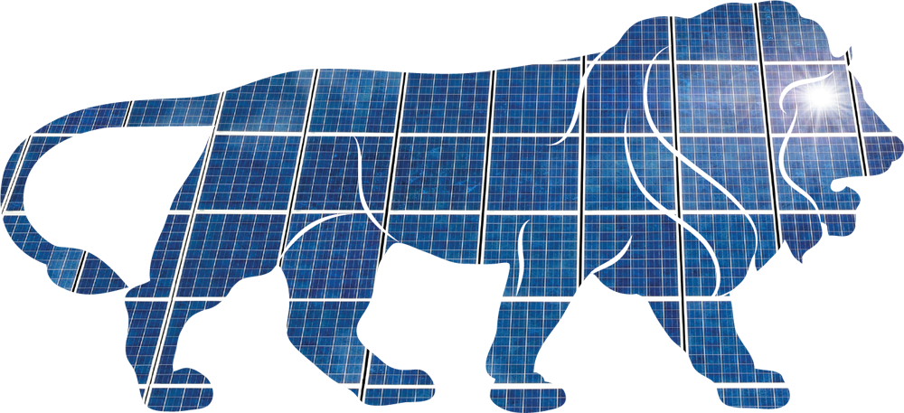 The Top Government Programes in the Solar Sector - banner
